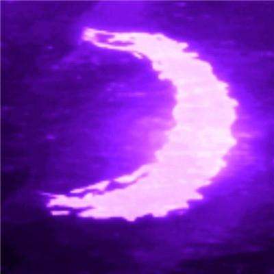 自行车特技表演